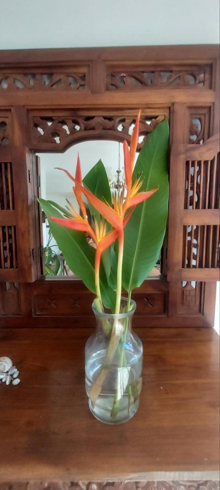 Residence71Nadi Fiji מראה חיצוני תמונה